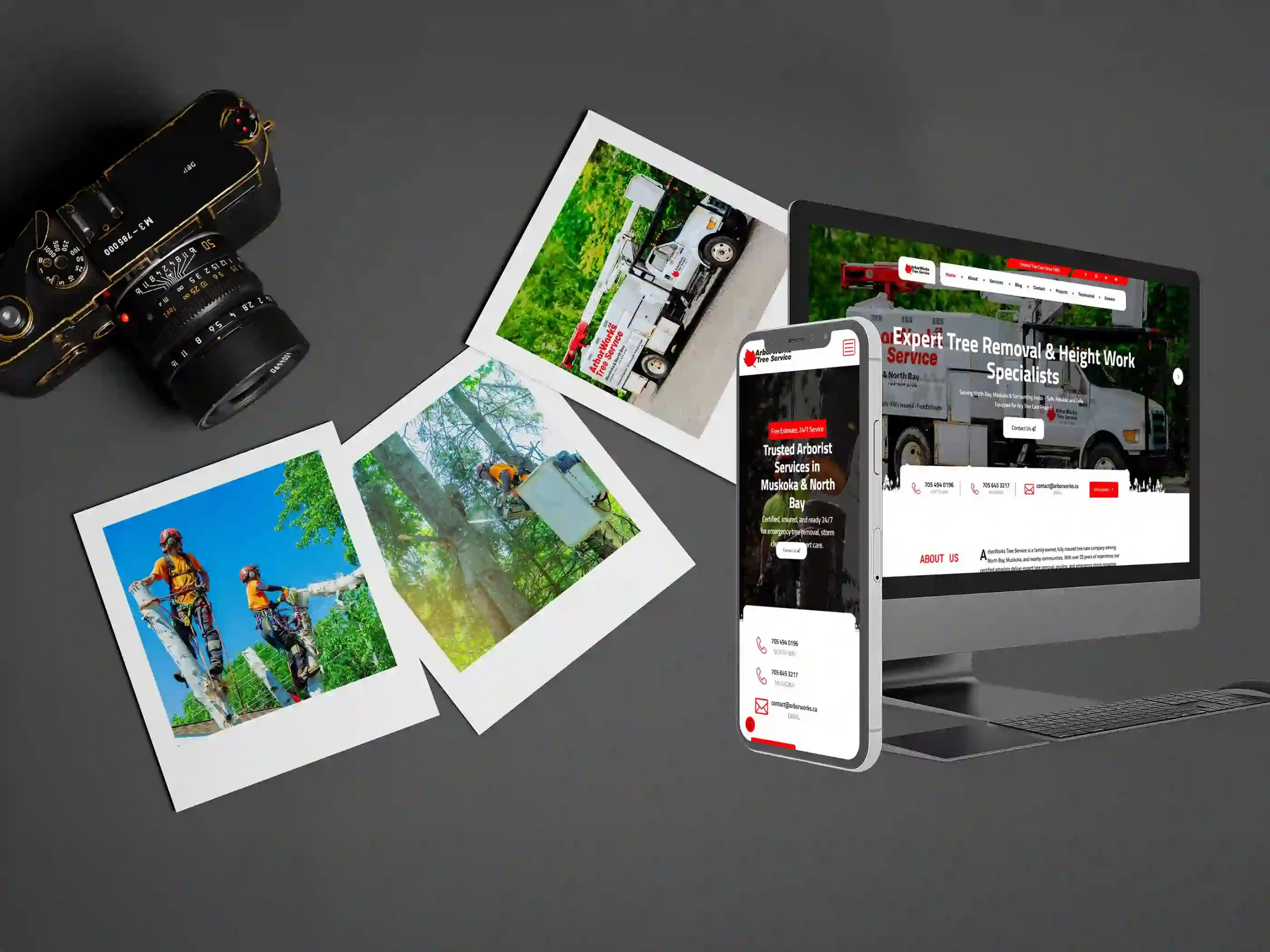 portfolio